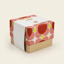 Ceramic Storage Jar - Atomic Flower Bubblegum -Orla Kiely Sales Store 149533ok750mlstoragejaratomicflowerbubblegum4box