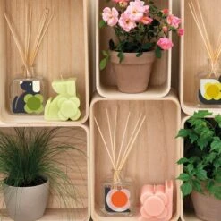 Dog Candle - Fig & Cedarwood -Orla Kiely Sales Store okhhm4040a dogcandle5